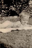 Baby Harlan
